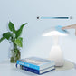 LED Small Table Lamp Portable USB Charging Dimmable Flower Bud Lamp Bedroom Bedside Lamp